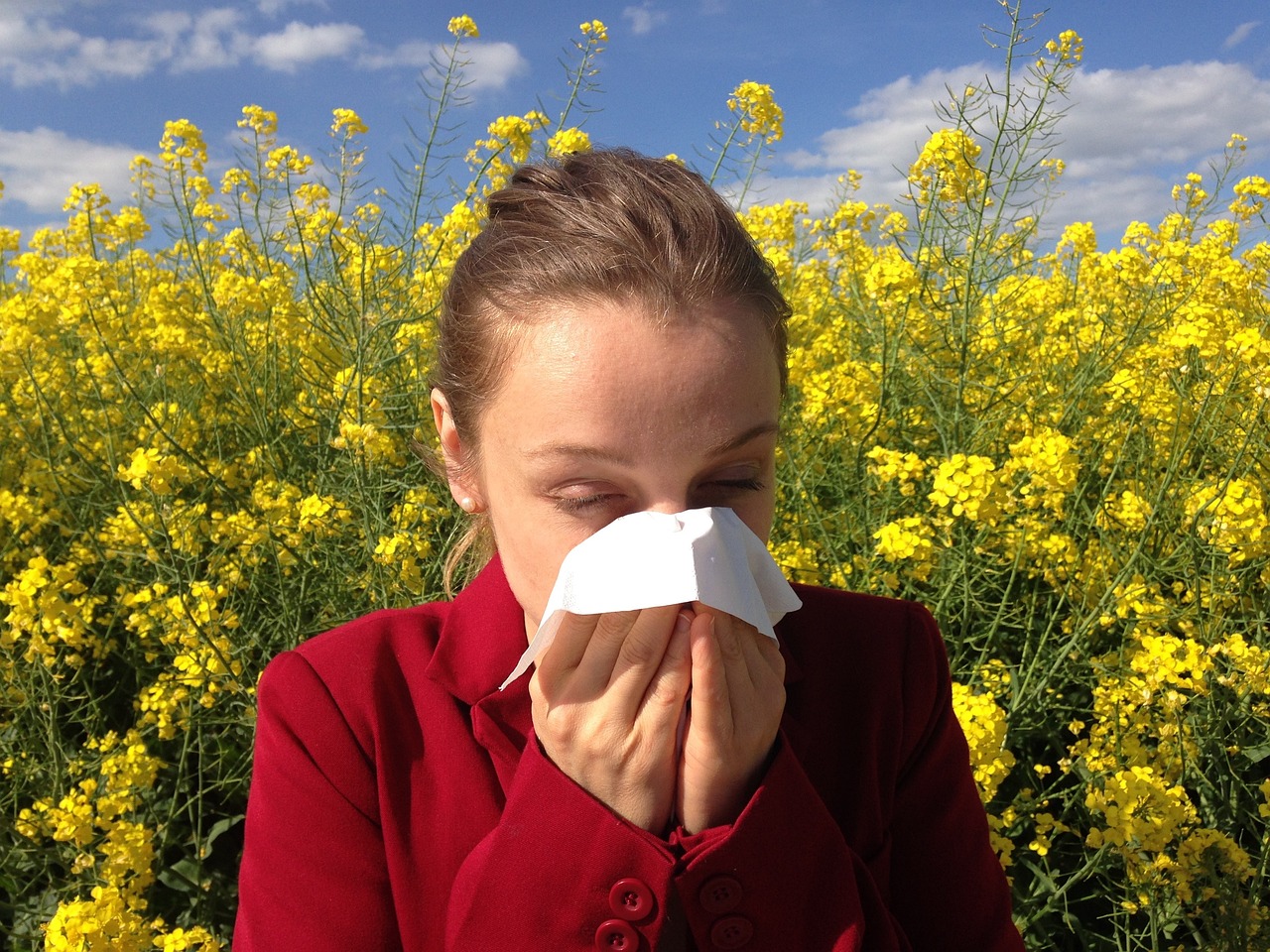 Immagine dell'articolo Misure di prevenzione della pollinosi da Ambrosia