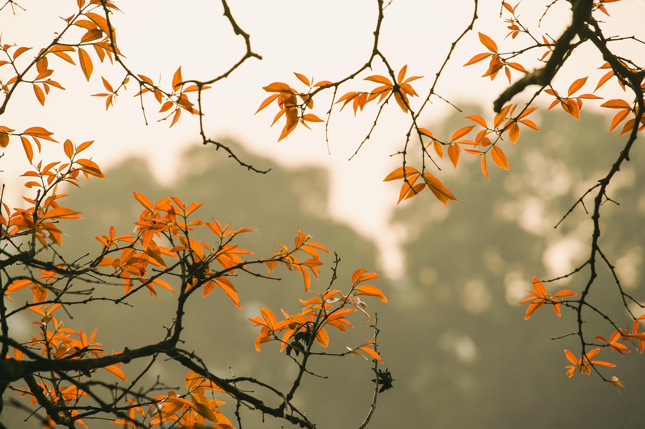 immagine di copertina dell'articolo Aspettando l'autunno 