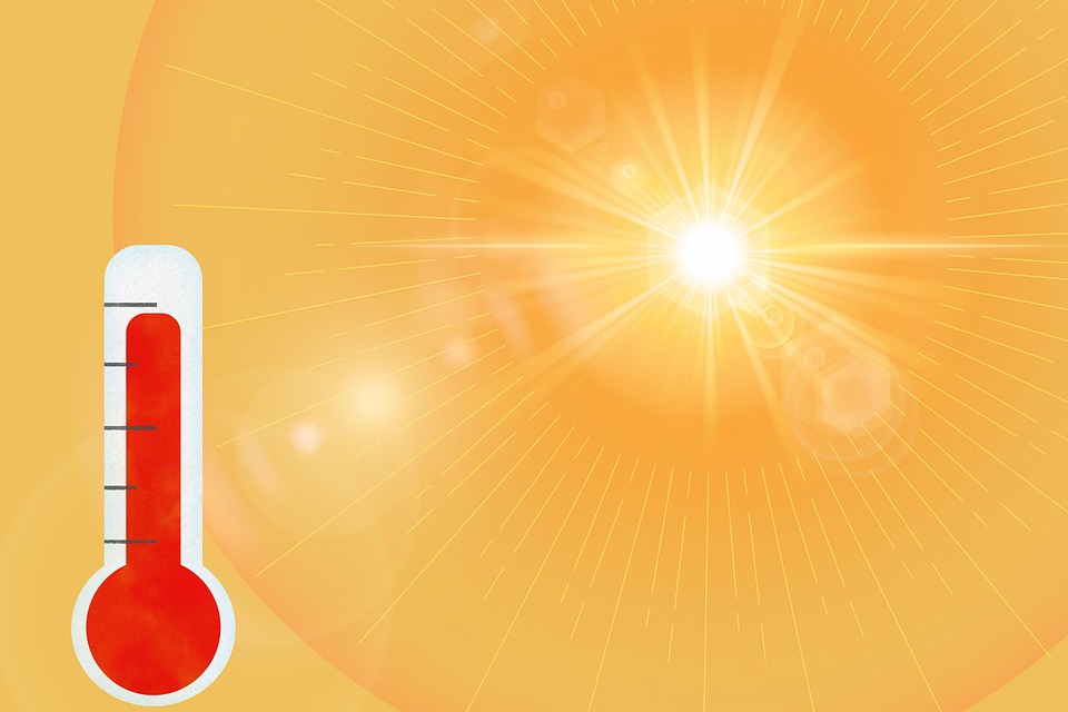 immagine di copertina della pagina: Gestione e prevenzione degli effetti delle ondate di calore 2025